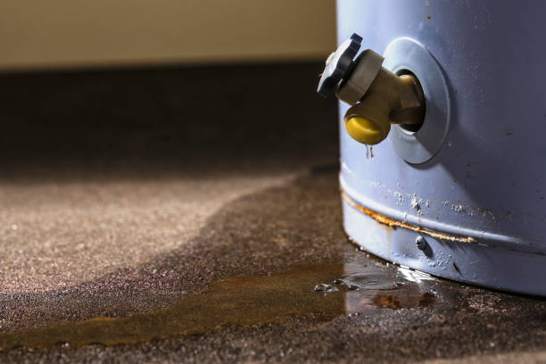 Best Residential water damage restoration  in Point, TX