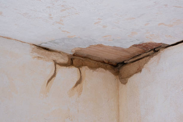 Best Emergency water damage restoration  in Point, TX