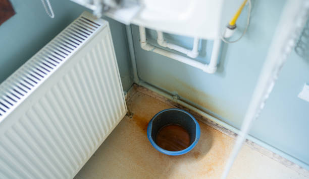 Best Local water damage restoration  in Point, TX