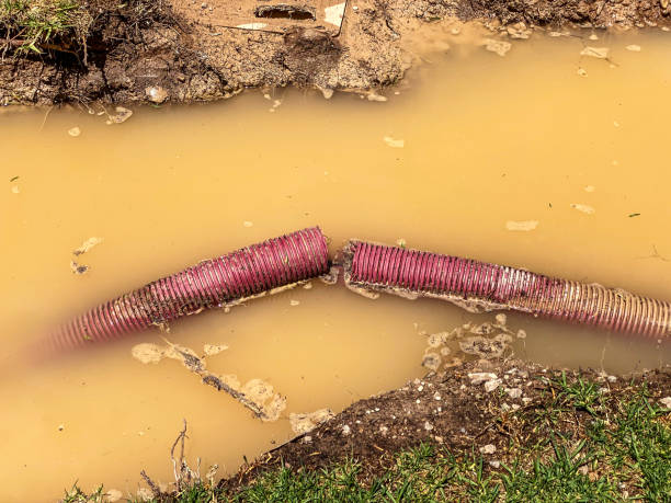 Best Flood damage cleanup  in Point, TX