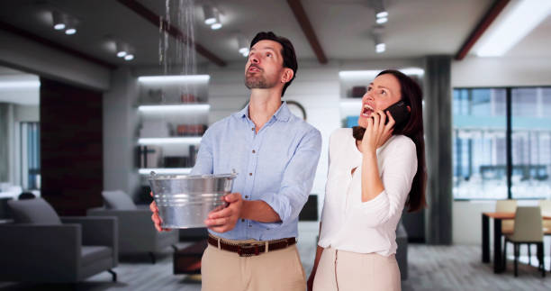 Best 24/7 water damage repair  in Point, TX