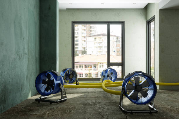 Best 24-hour water damage restoration  in Point, TX